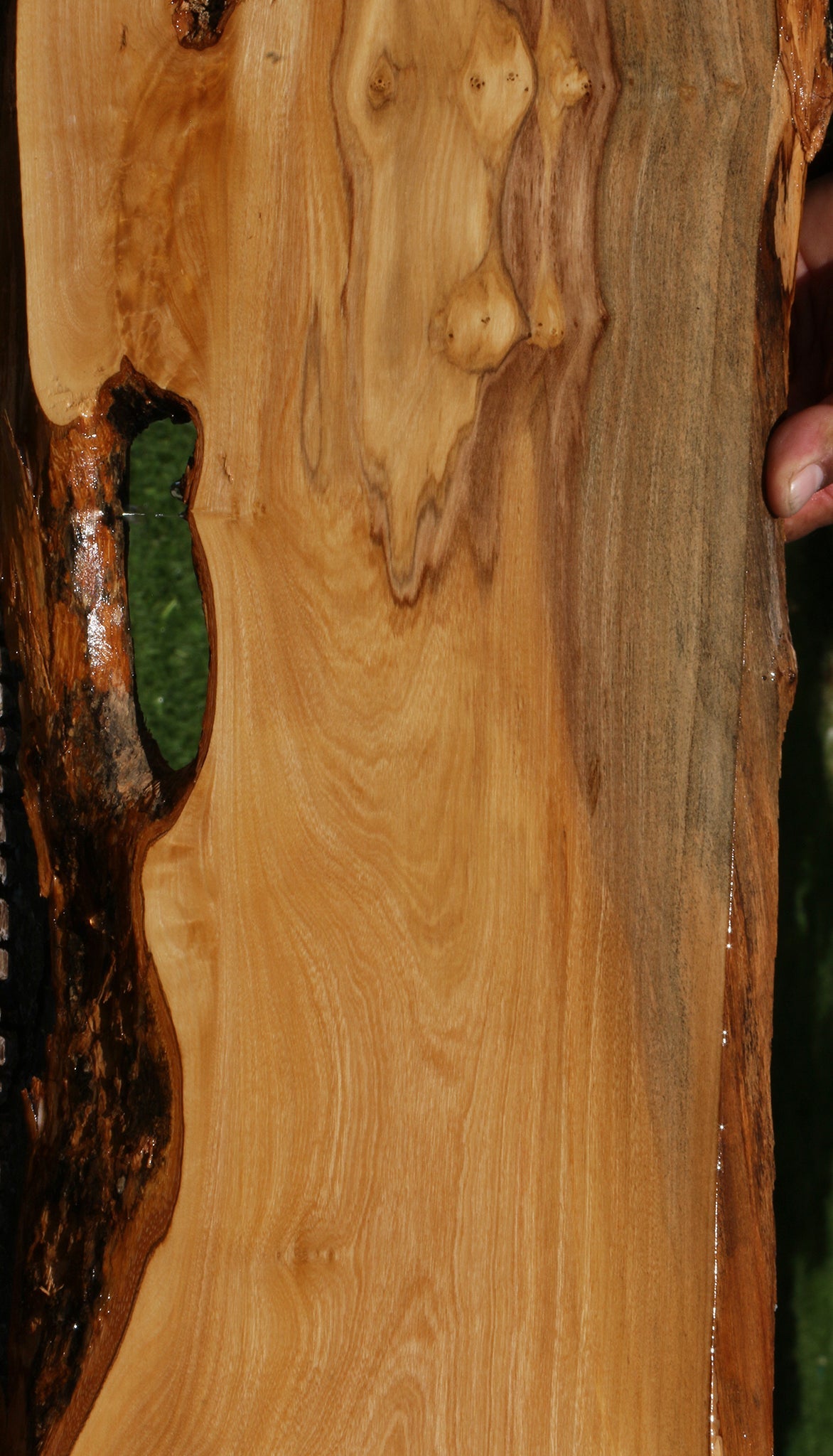 Italian Olive Live Edge Lumber