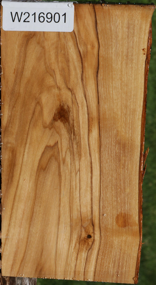 Italian Olive Live Edge Lumber