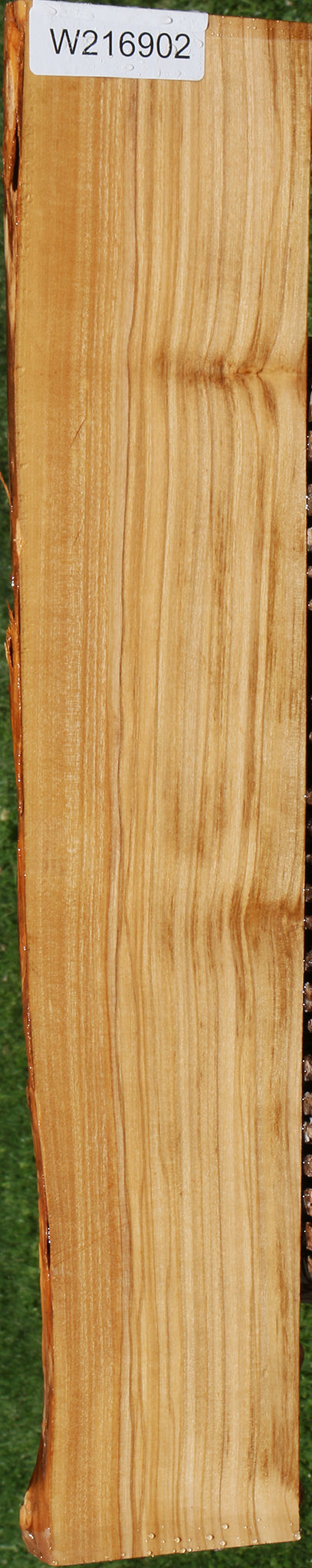 Italian Olive Live Edge Lumber