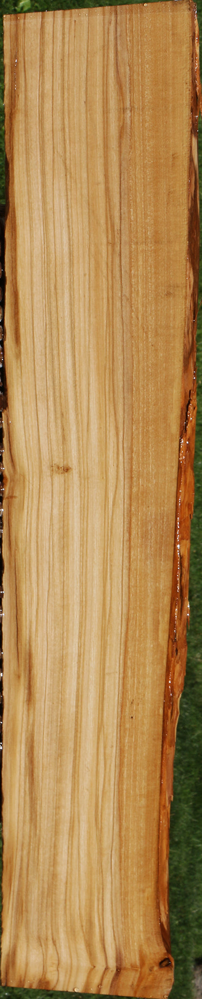 Italian Olive Live Edge Lumber