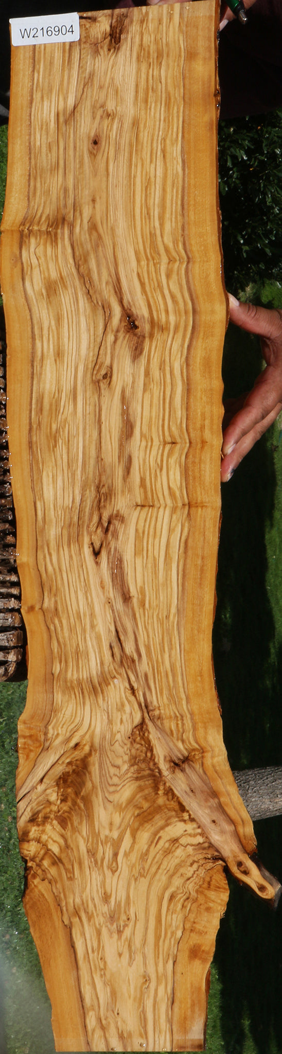 Extra Fancy Italian Olive Live Edge Lumber