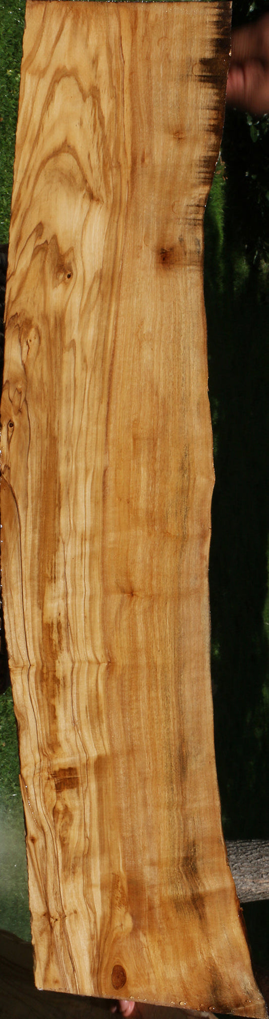 Italian Olive Live Edge Lumber