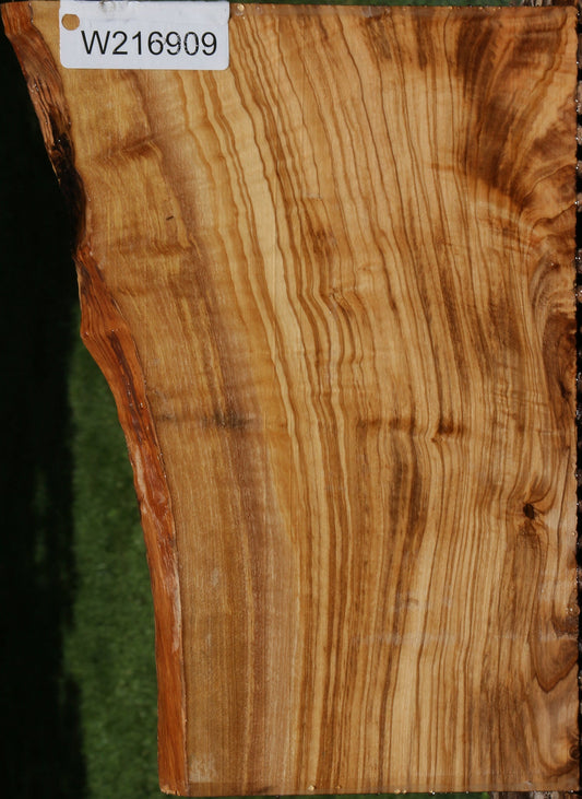 Extra Fancy Italian Olive Live Edge Lumber