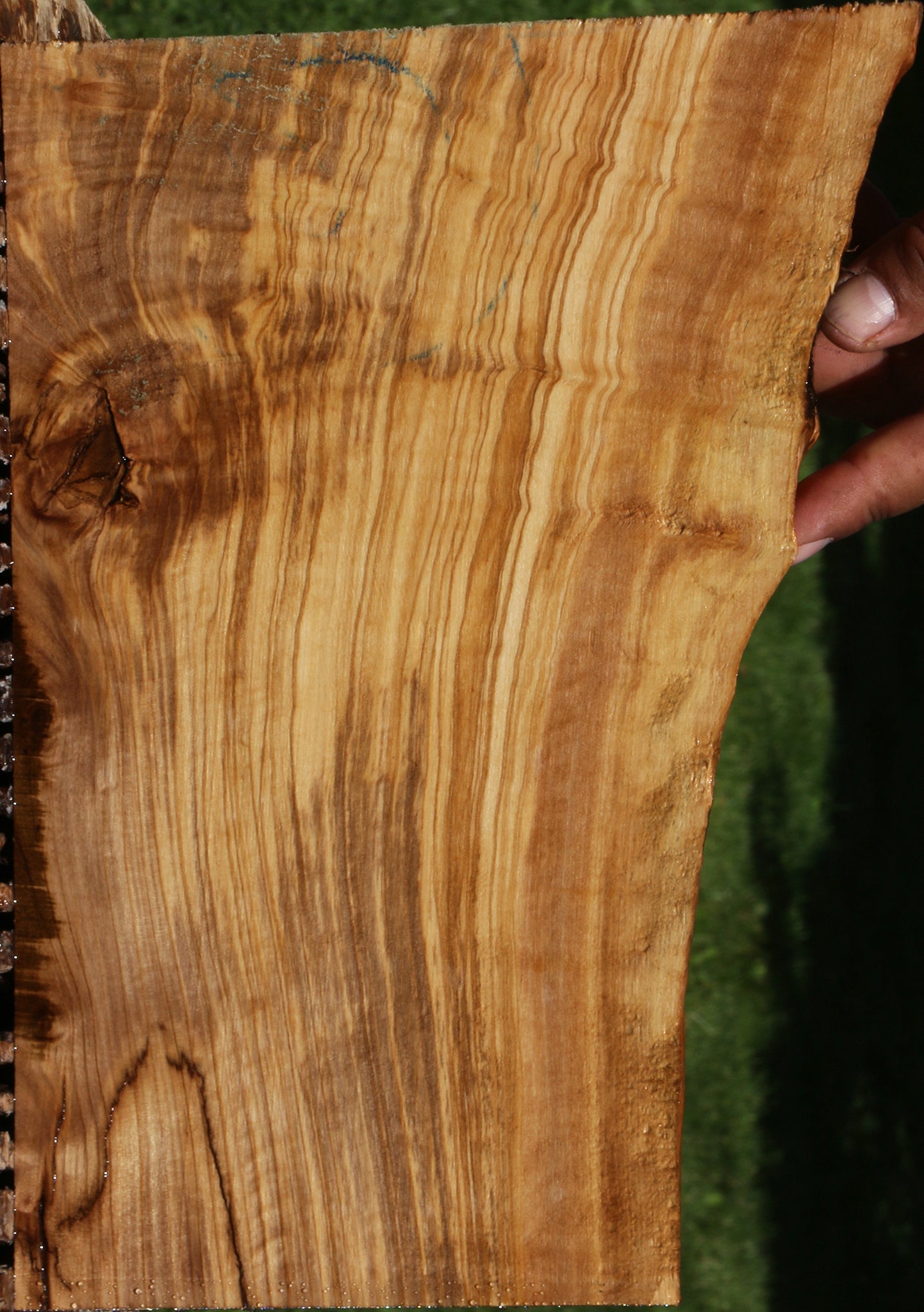 Extra Fancy Italian Olive Live Edge Lumber