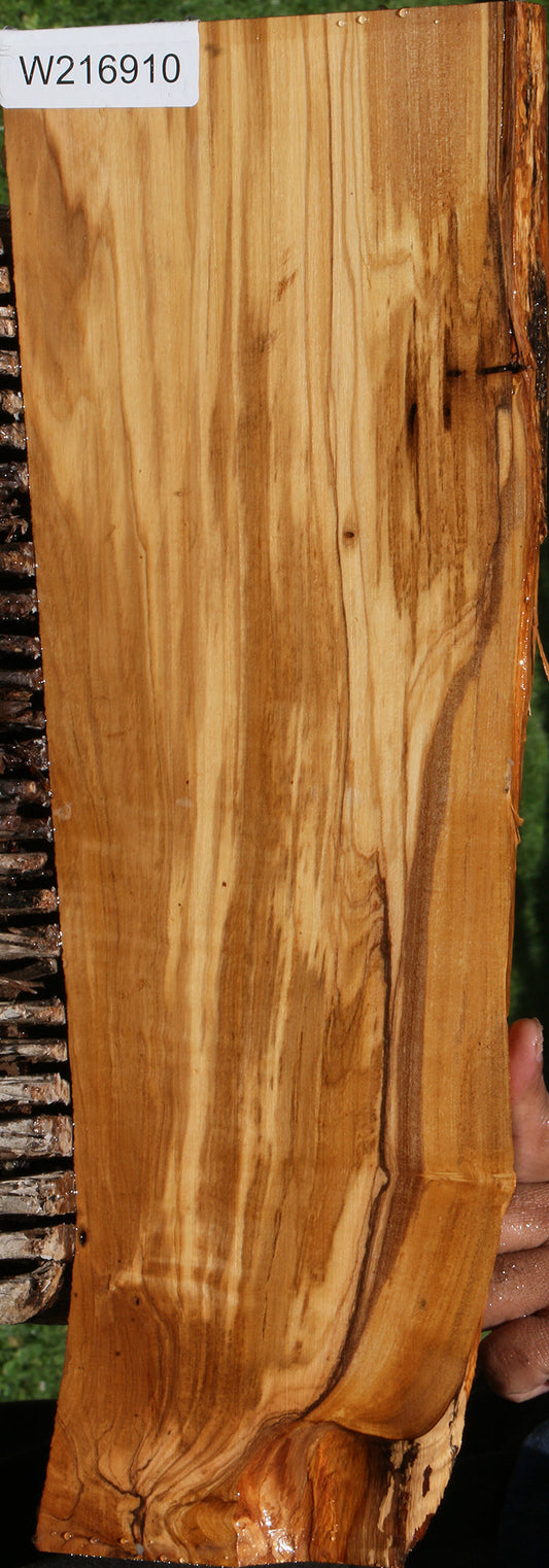 Italian Olive Live Edge Lumber