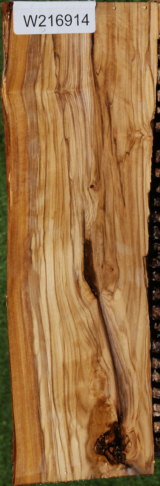 Rustic Italian Olive Live Edge Lumber