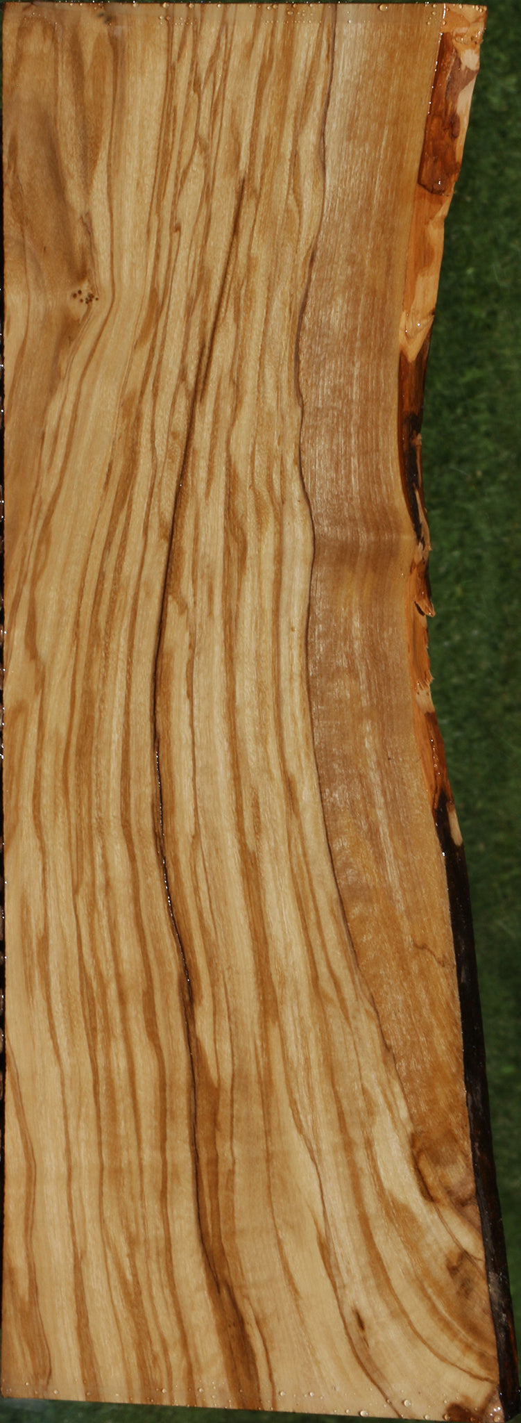 Extra Fancy Italian Olive Live Edge Lumber