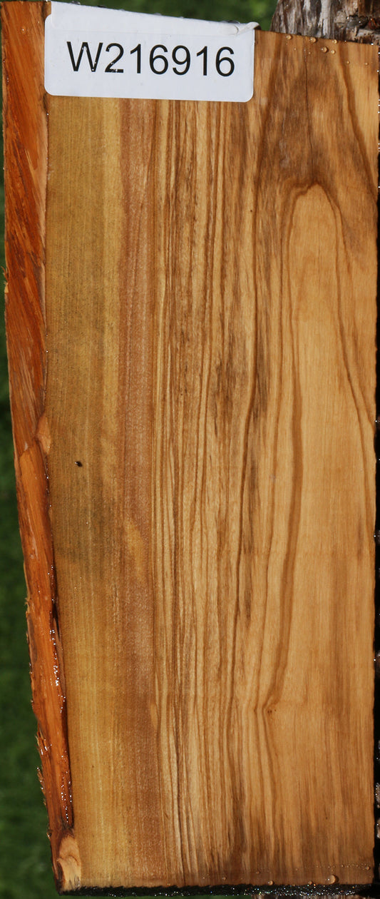 Figured Italian Olive Live Edge Lumber