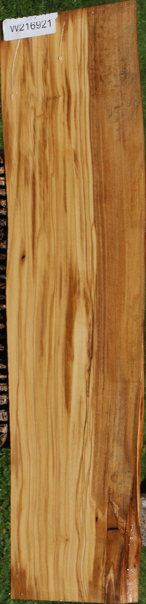 Figured Italian Olive Live Edge Lumber