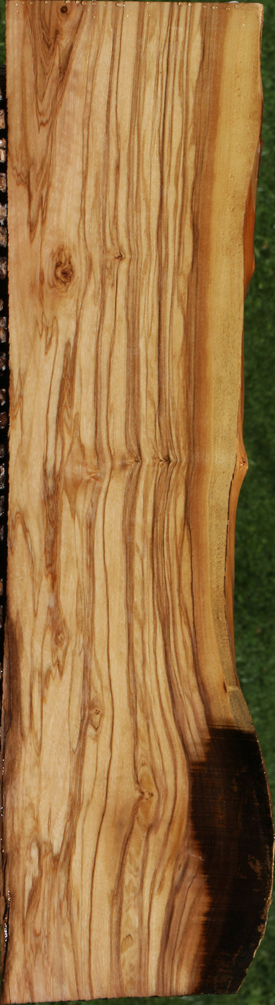 Extra Fancy Italian Olive Live Edge Lumber