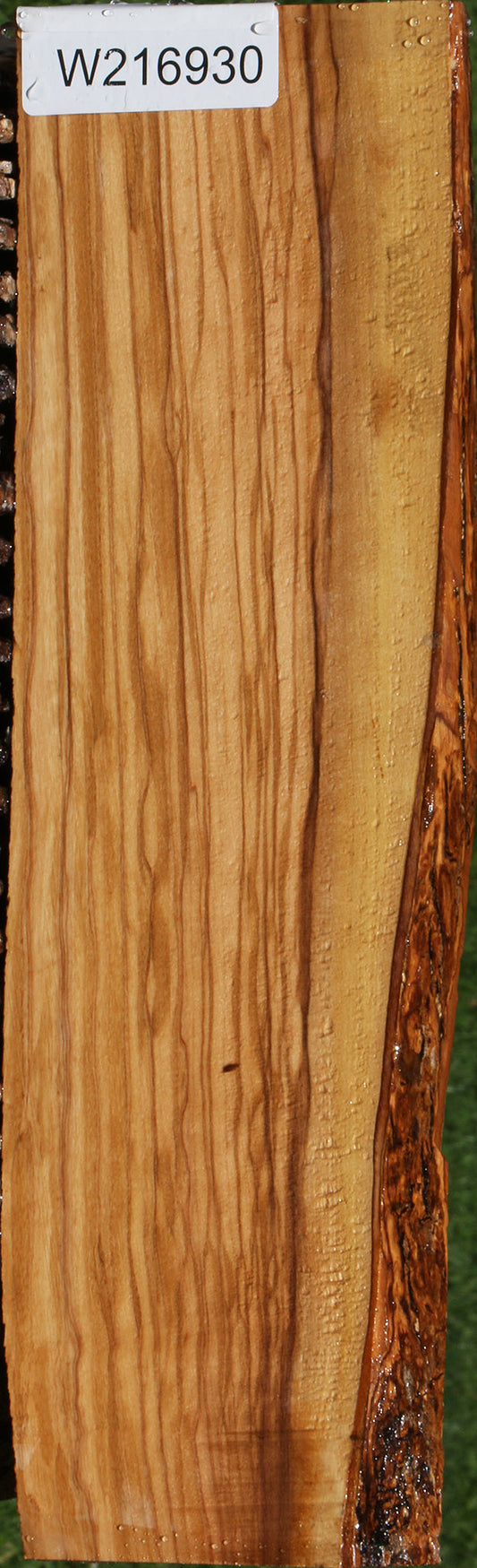 Italian Olive Live Edge Lumber