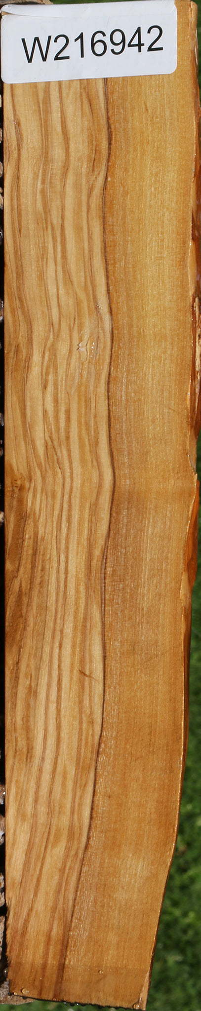 Rustic Italian Olive Live Edge Lumber