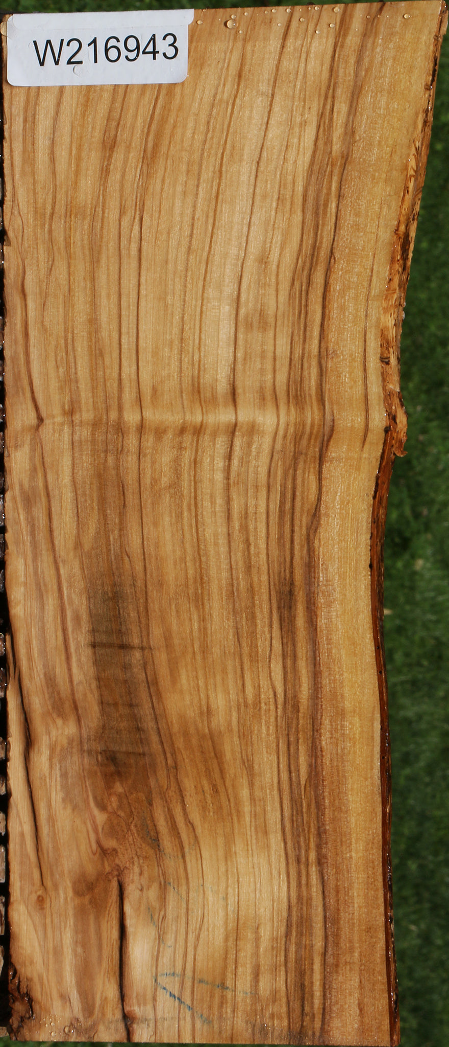 Figured Italian Olive Live Edge Lumber