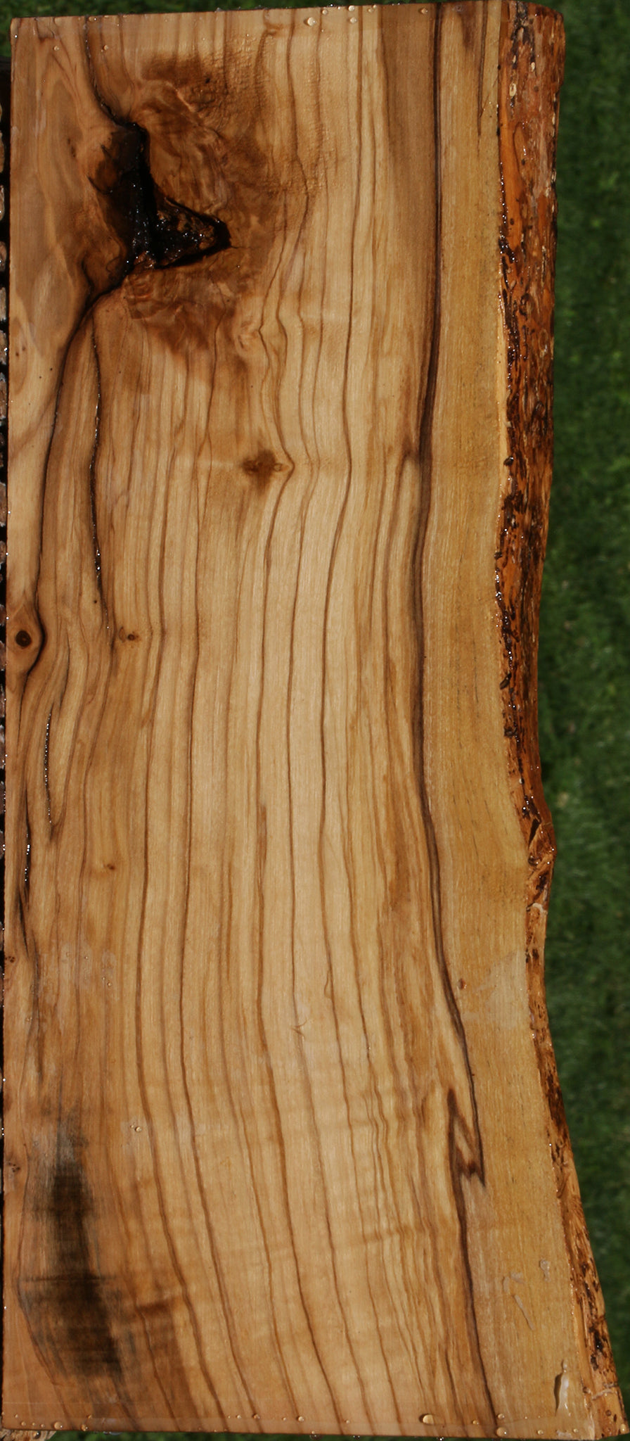 Figured Italian Olive Live Edge Lumber