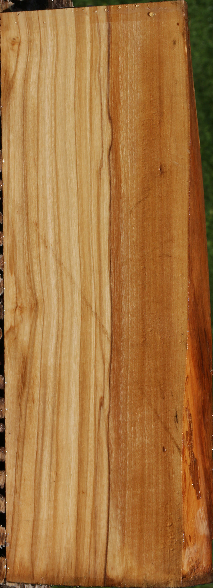 Italian Olive Live Edge Lumber