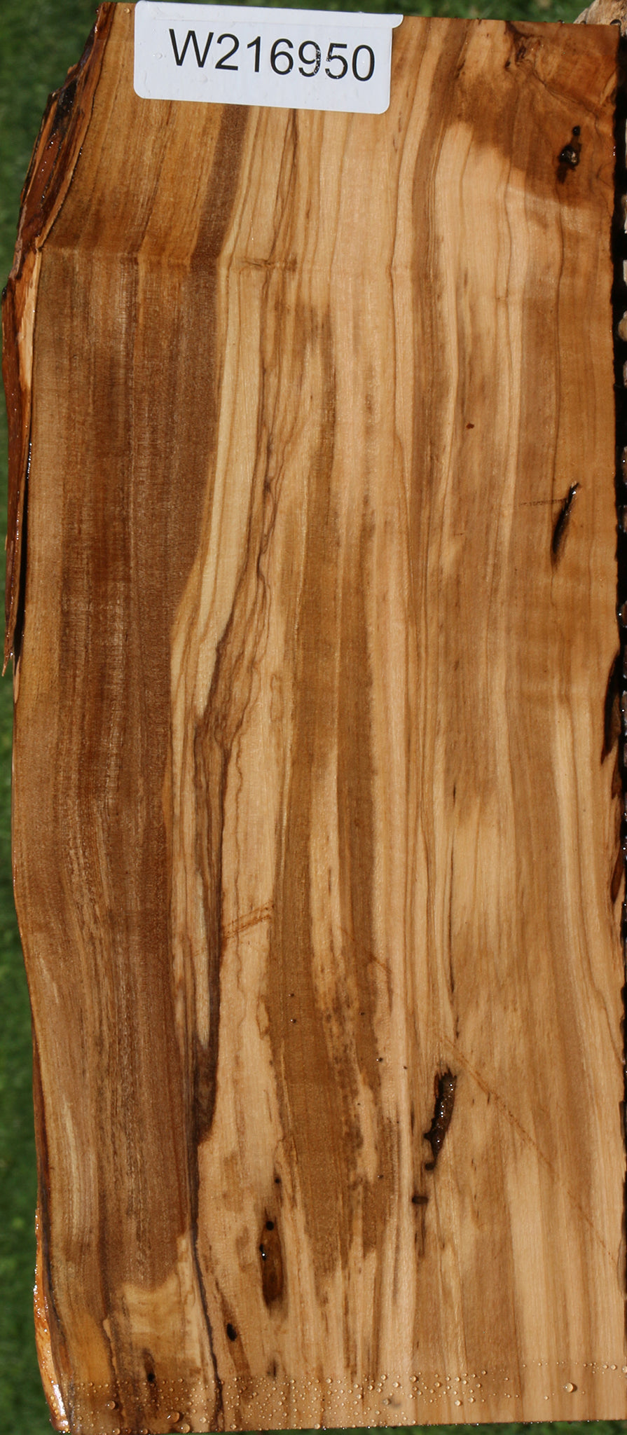 Figured Italian Olive Live Edge Lumber