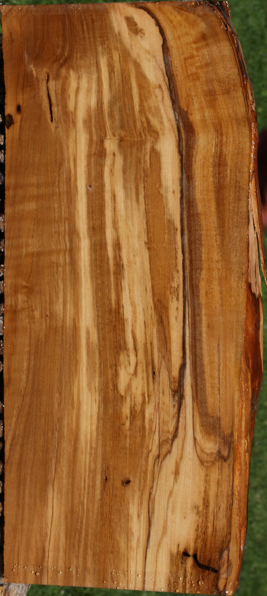 Figured Italian Olive Live Edge Lumber