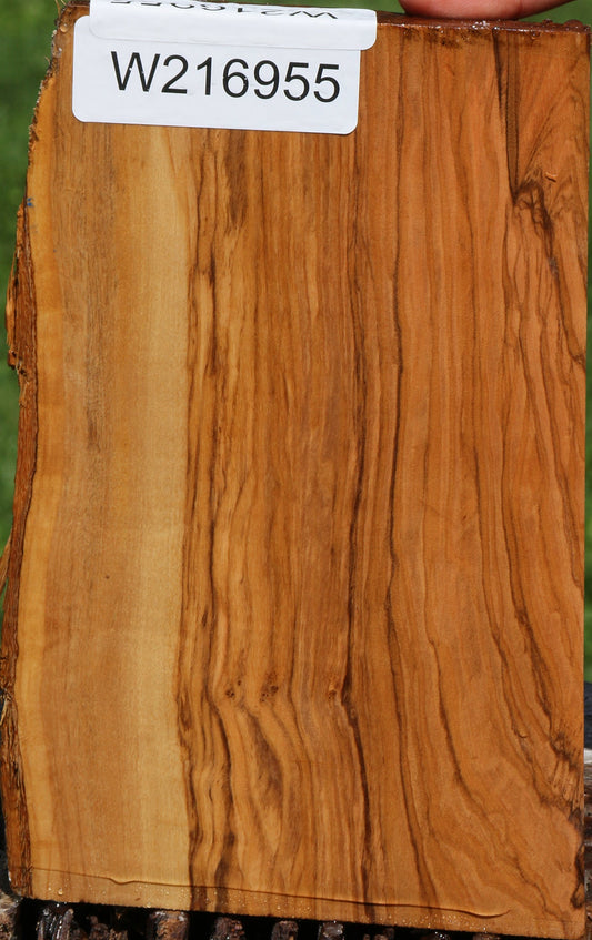 Figured Italian Olive Live Edge Lumber