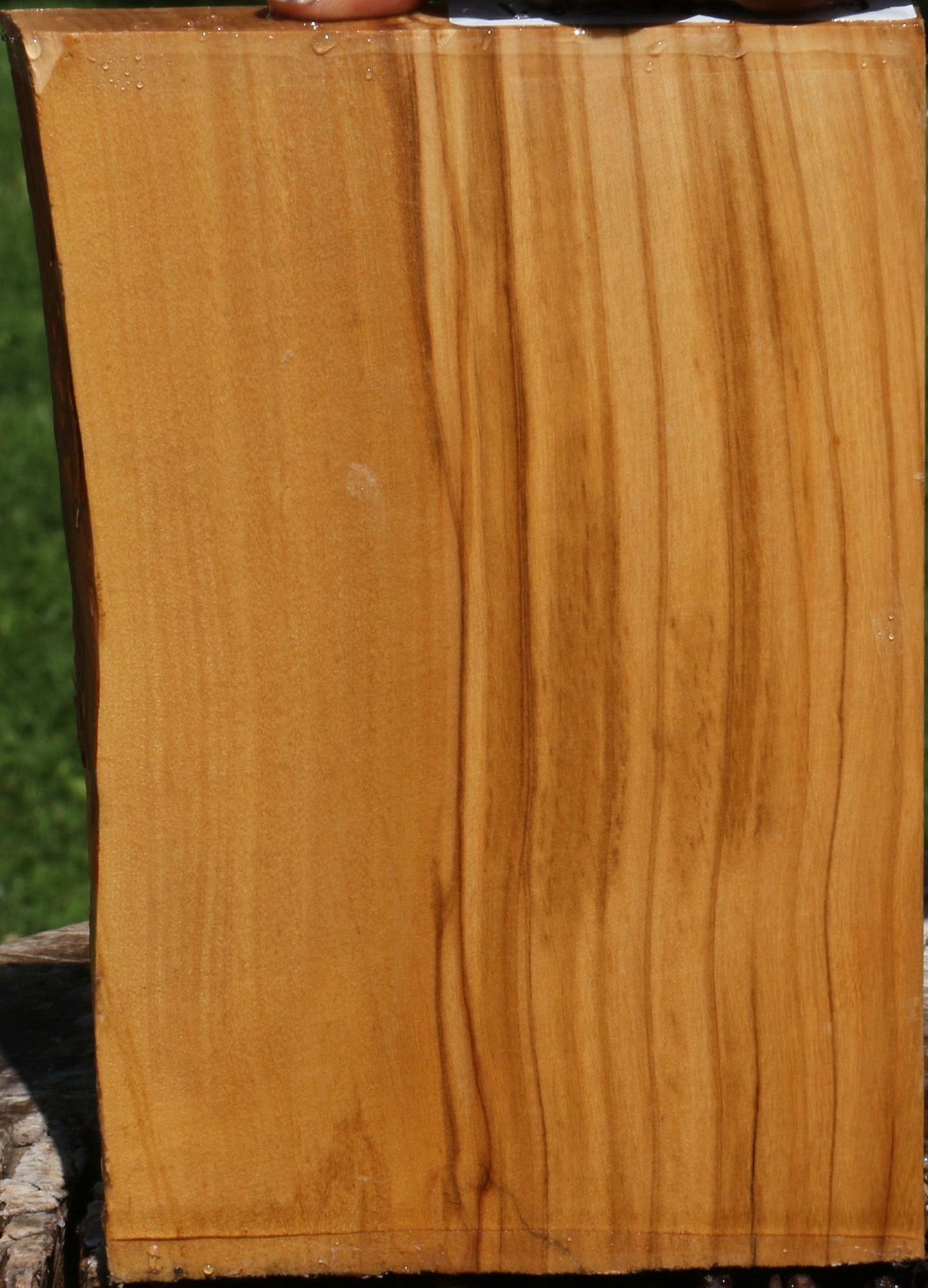 Italian Olive Live Edge Lumber