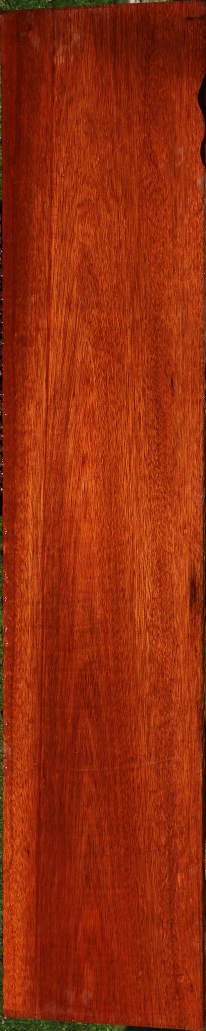 Bloodwood Lumber