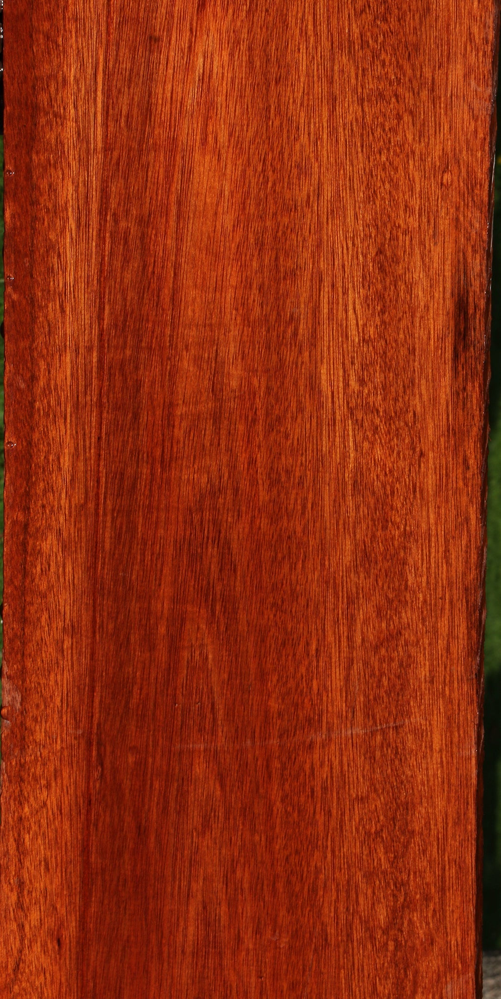 Bloodwood Lumber