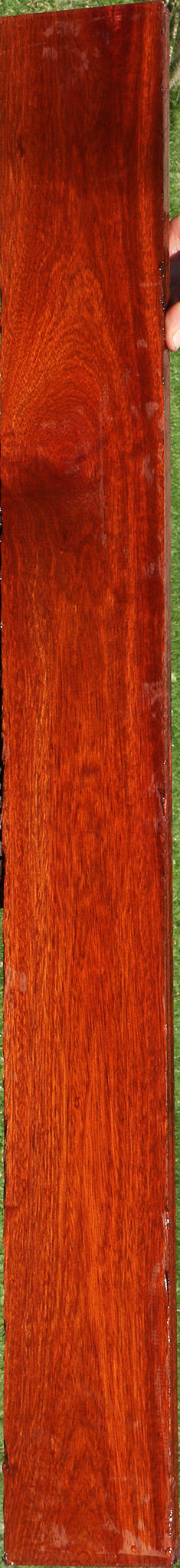 Bloodwood Lumber