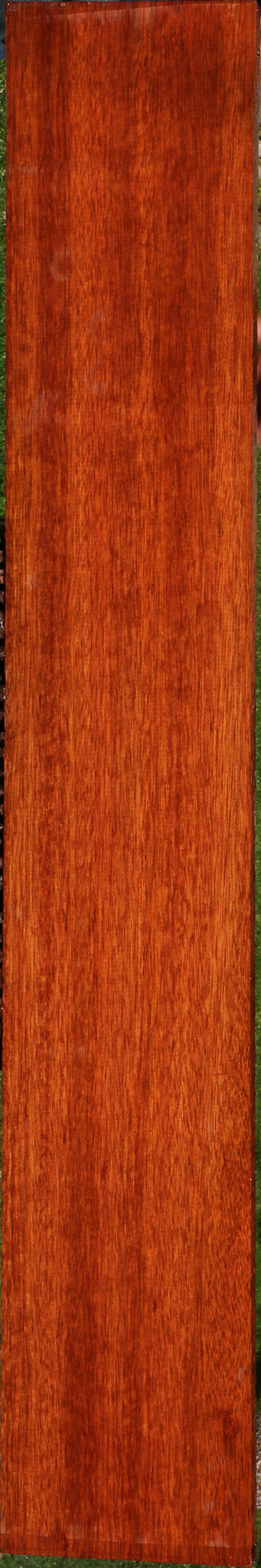 Bloodwood Lumber