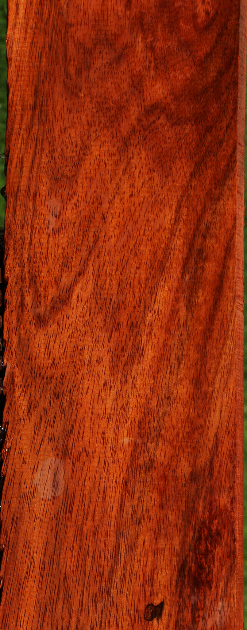 Figured Bloodwood Lumber