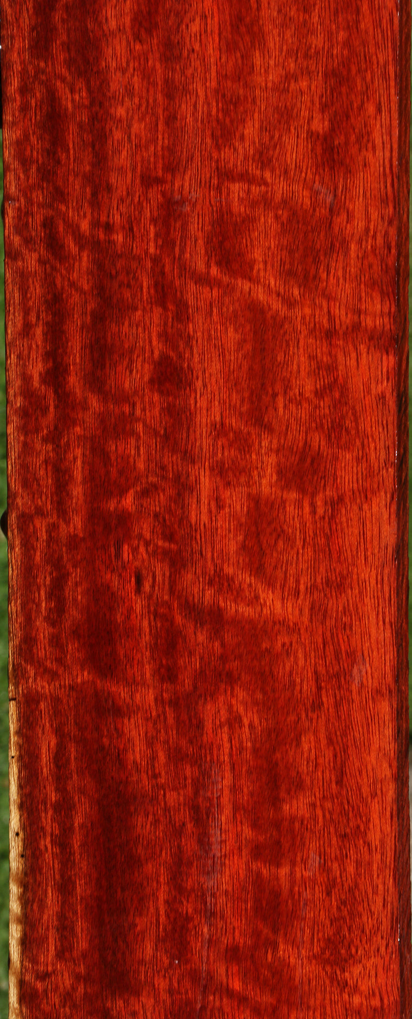 Bloodwood Lumber