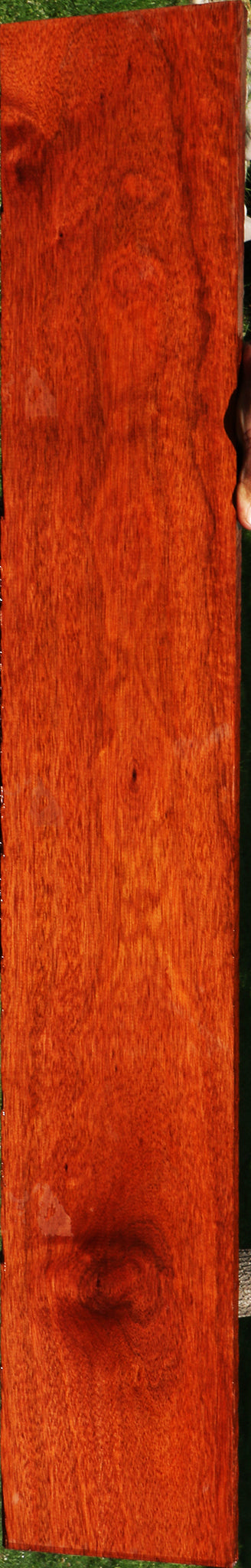 Bloodwood Lumber