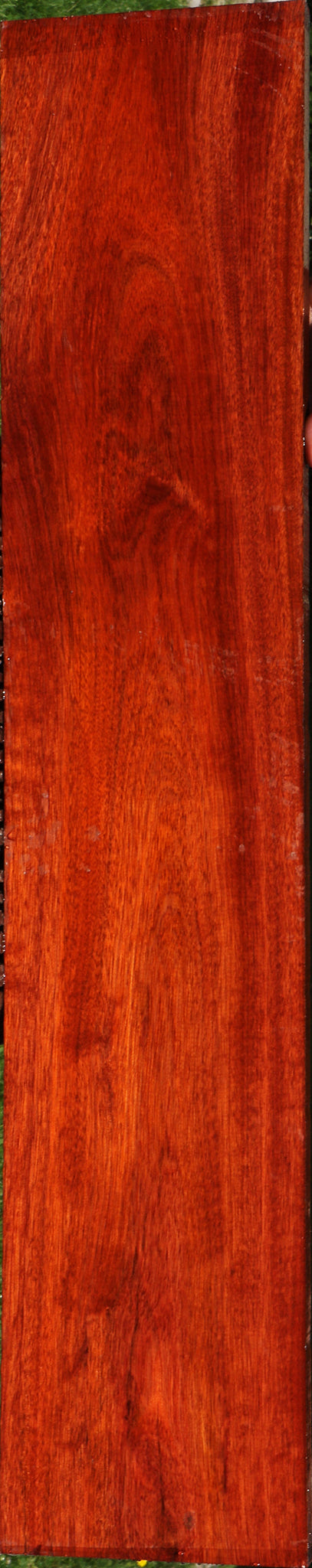 Extra Fancy Bloodwood Lumber