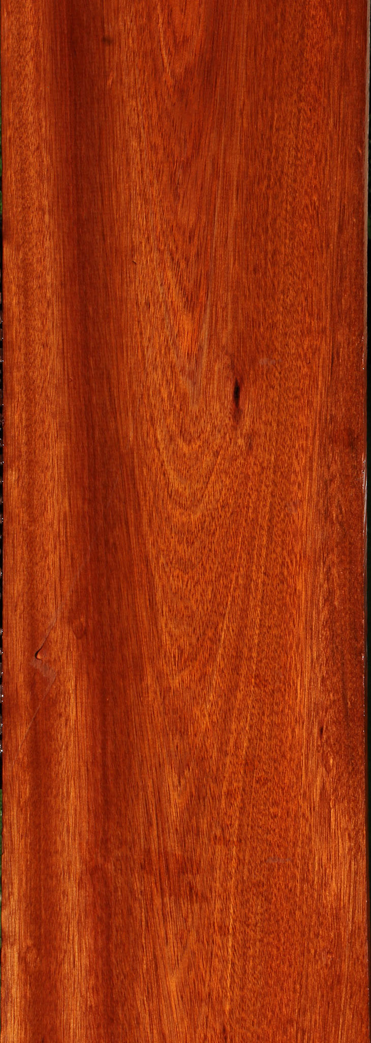 Bloodwood Lumber