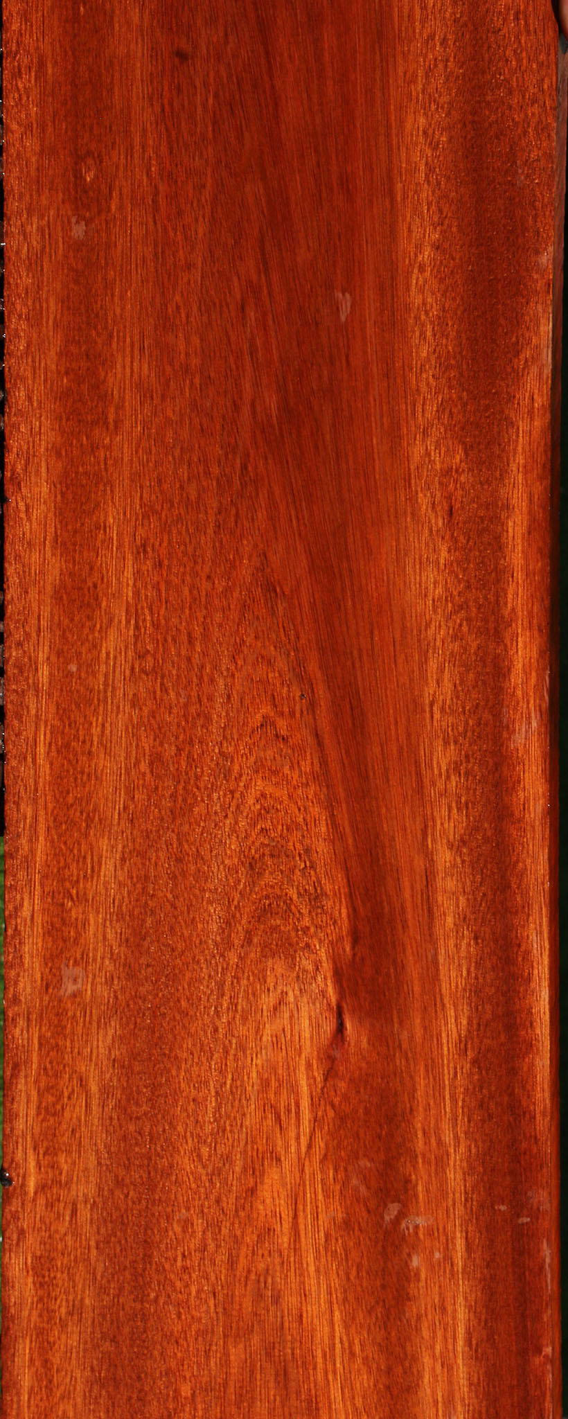 Bloodwood Lumber