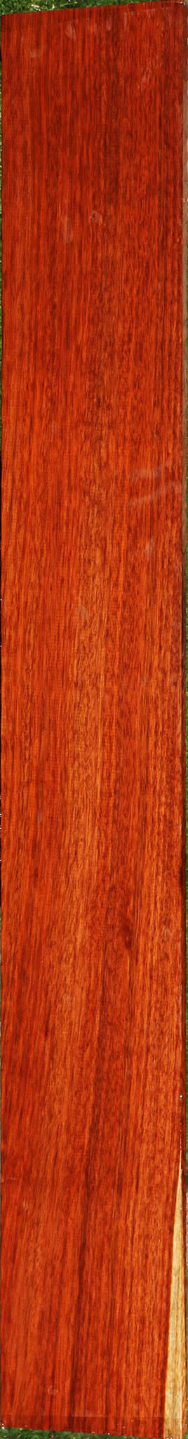 Figured Bloodwood Lumber