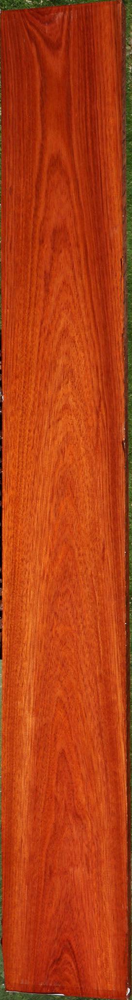 Bloodwood Lumber