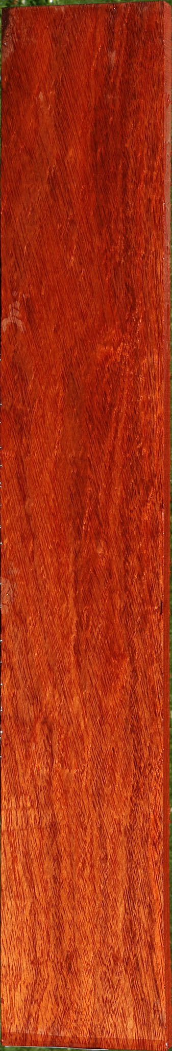 Extra Fancy Bloodwood Micro Lumber