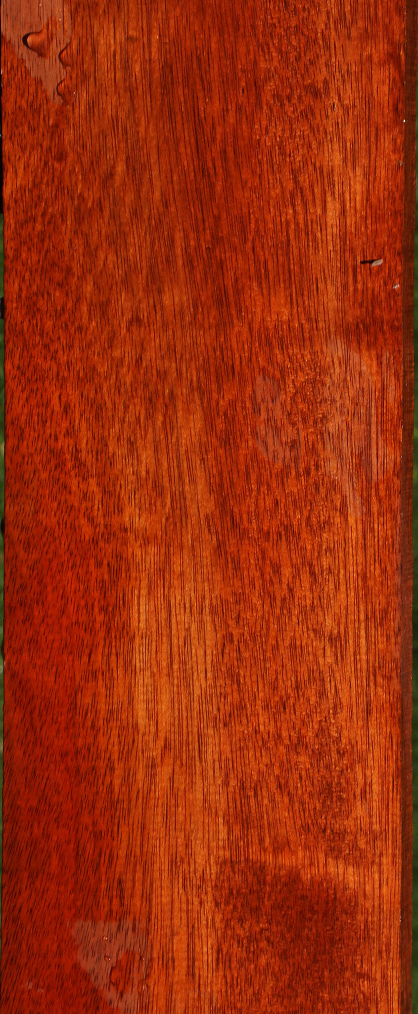 Bloodwood Lumber