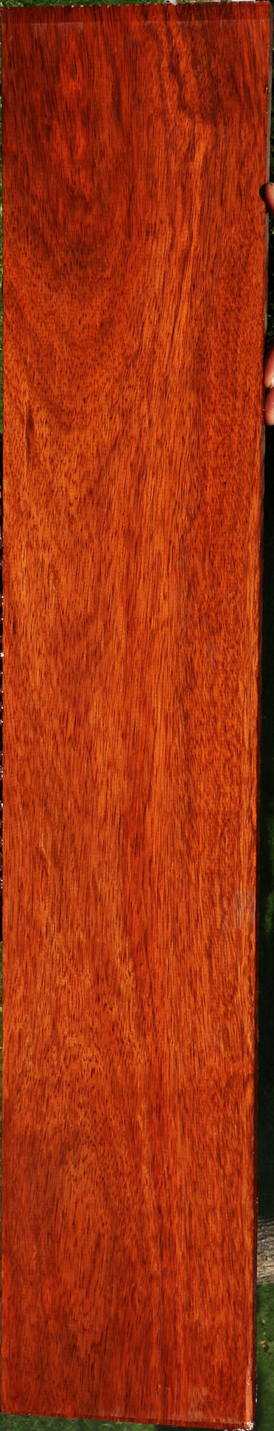 Bloodwood Lumber