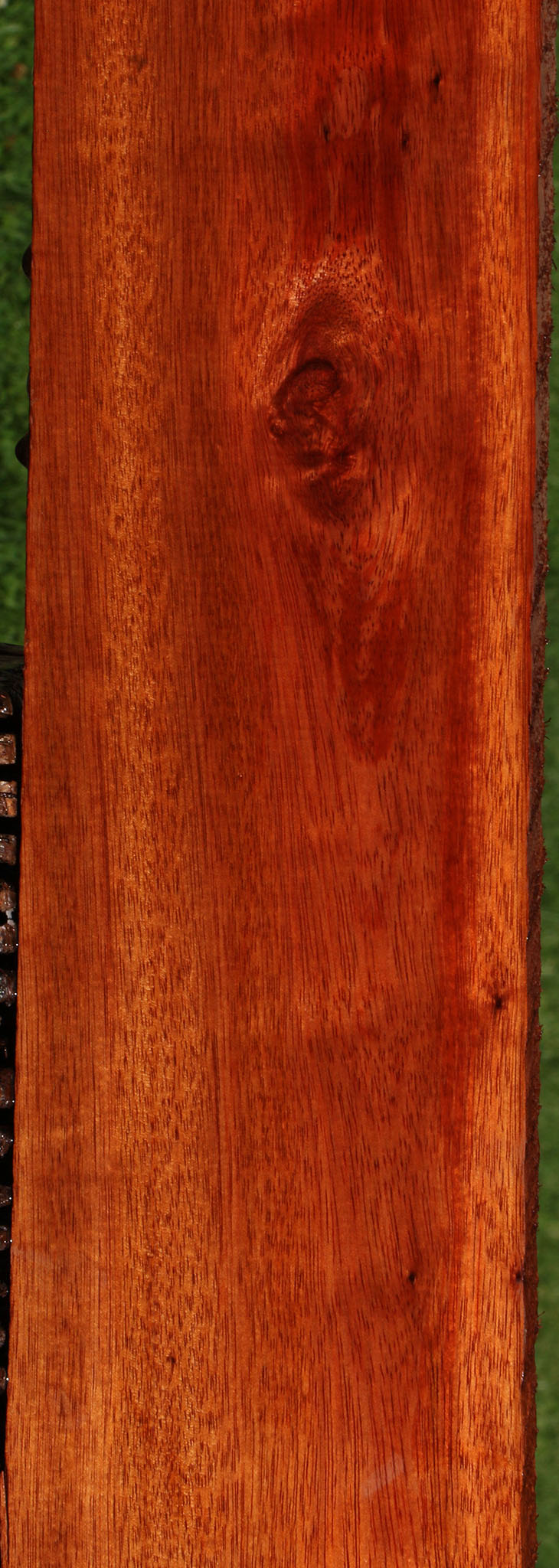 Bloodwood Lumber