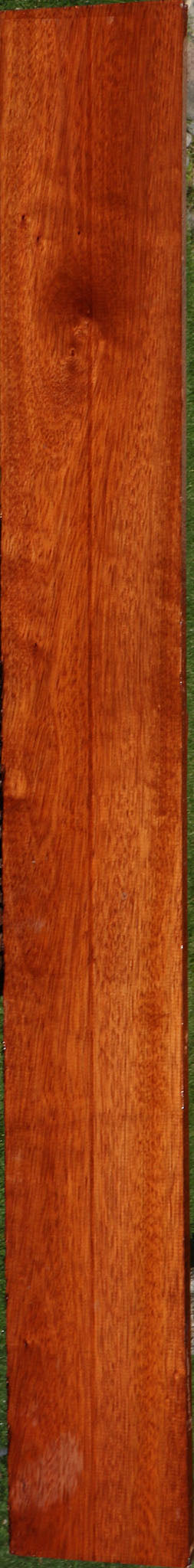 Bloodwood Lumber