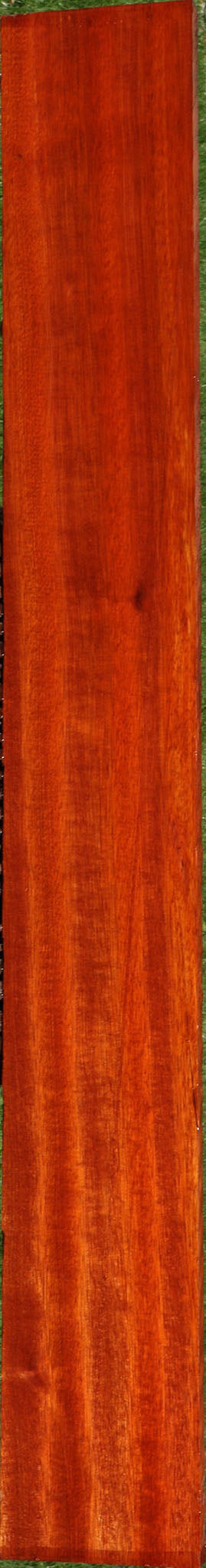 Extra Fancy Bloodwood Lumber