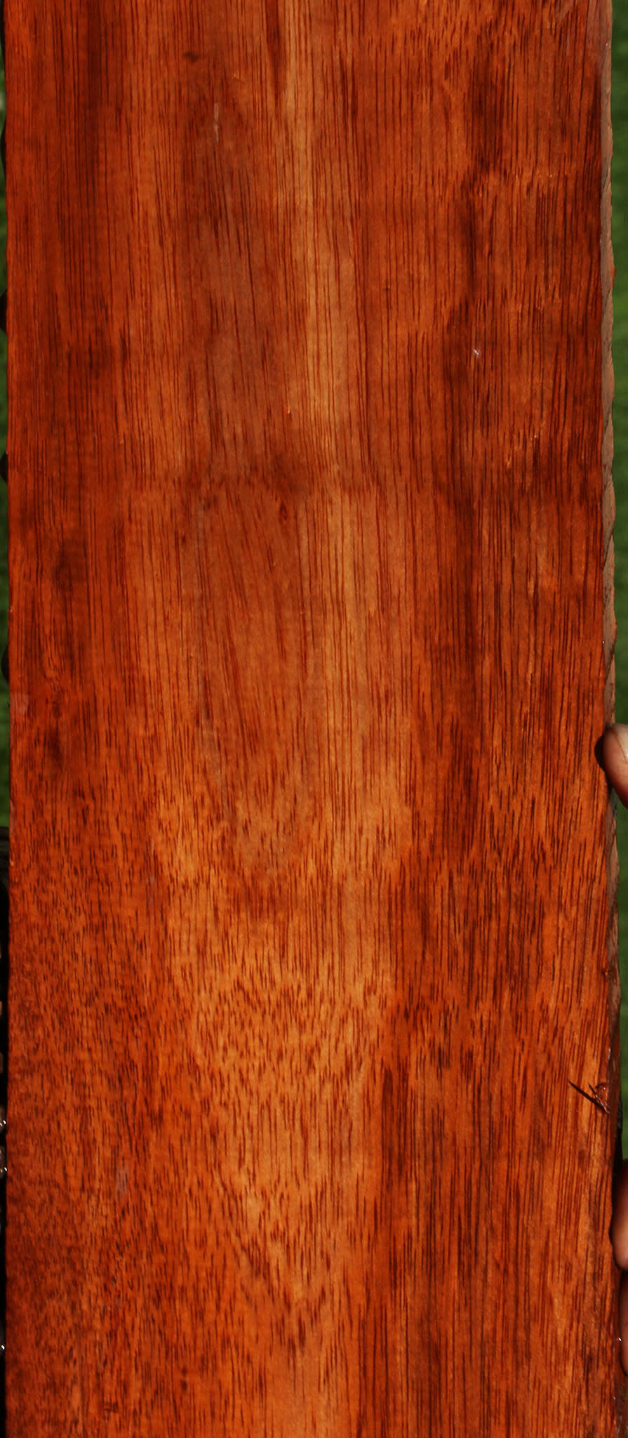 Bloodwood Lumber