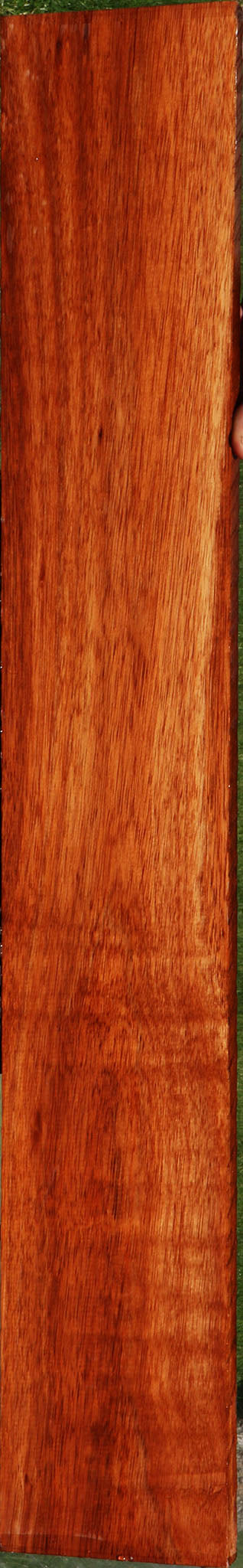 Bloodwood Lumber