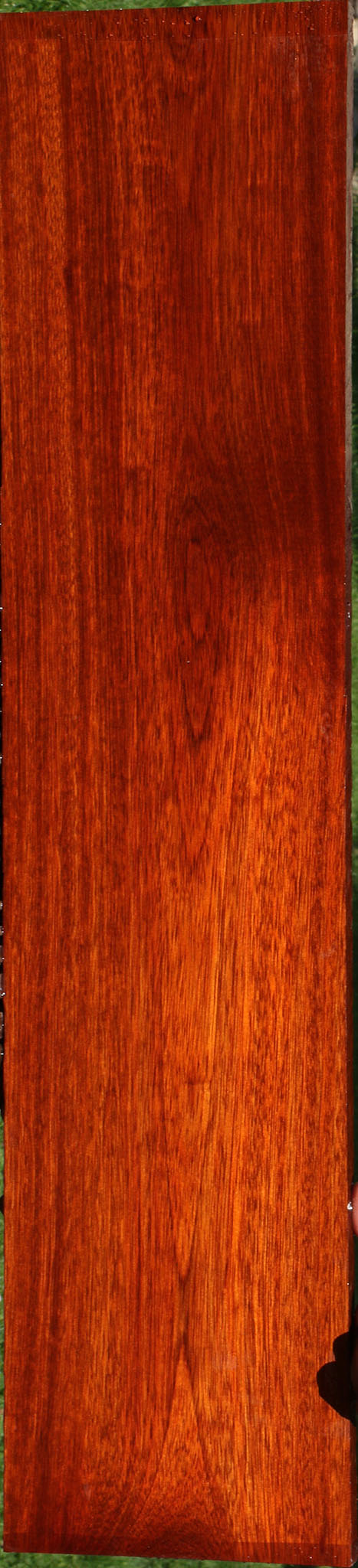 Bloodwood Lumber