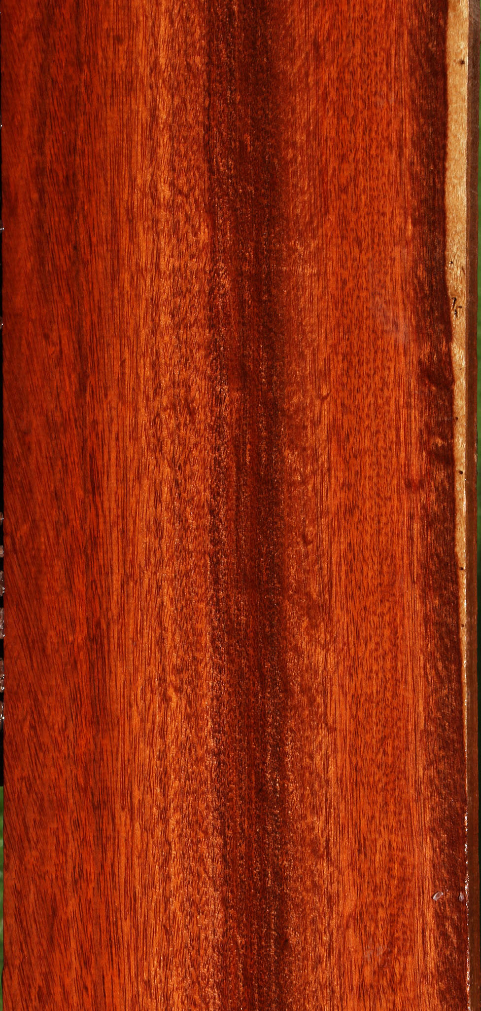 Figured Bloodwood Lumber