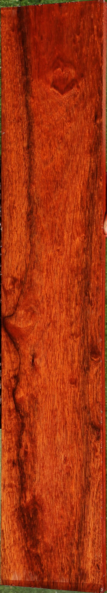 Extra Fancy Bloodwood Lumber