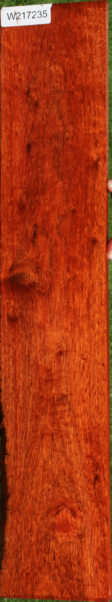 Extra Fancy Bloodwood Lumber