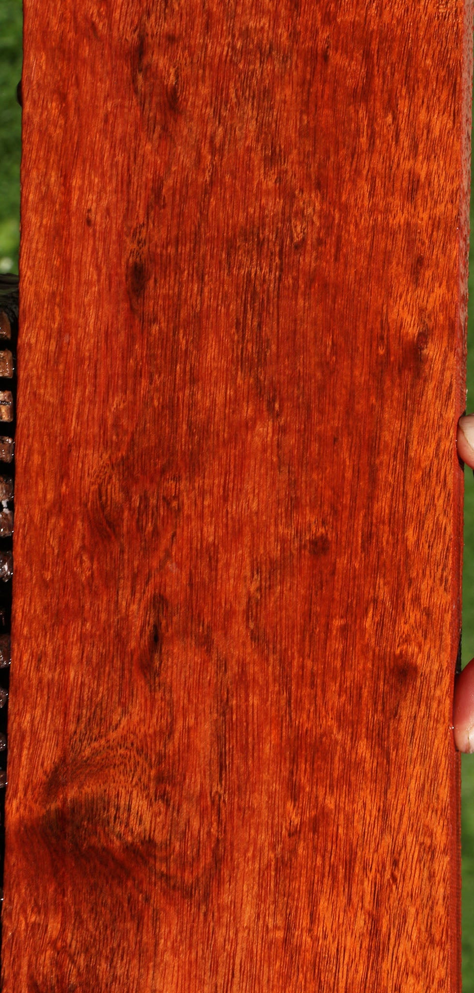 Extra Fancy Bloodwood Lumber