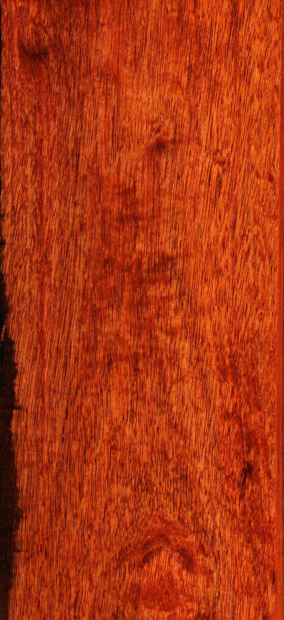 Extra Fancy Bloodwood Lumber