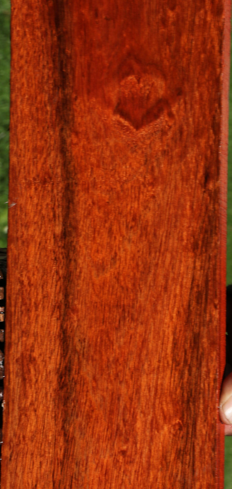 Extra Fancy Bloodwood Lumber